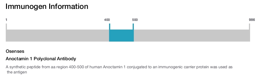 Anoctamin 1 Polyclonal Antibody