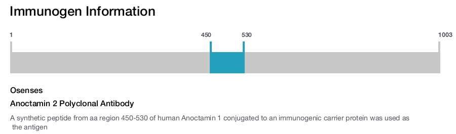 Anoctamin 2 Polyclonal Antibody