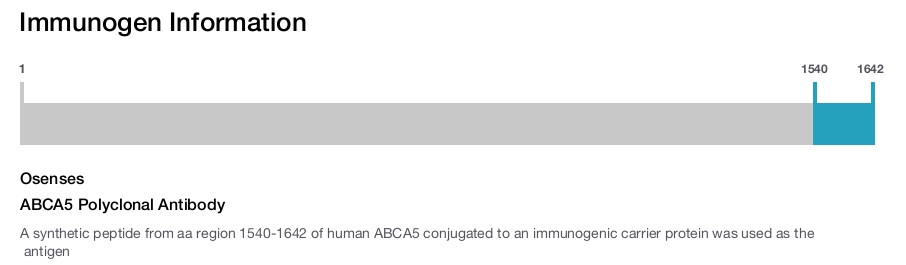 ABCA5 Polyclonal Antibody