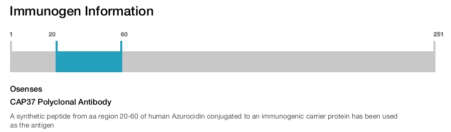 CAP37 Polyclonal Antibody