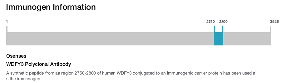 WDFY3 Polyclonal Antibody