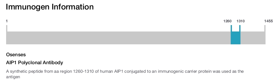 AIP1 Polyclonal Antibody