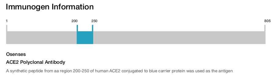 ACE2 Polyclonal Antibody