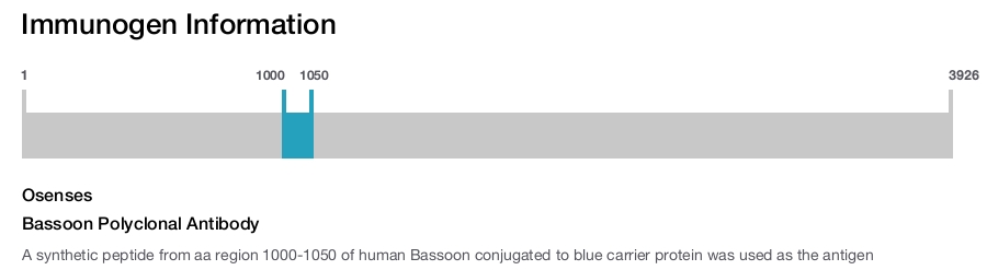 Bassoon Polyclonal Antibody