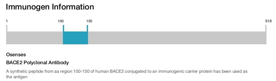 BACE2 Polyclonal Antibody
