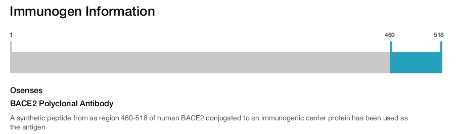 BACE2 Polyclonal Antibody