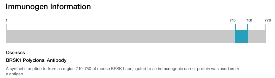 BRSK1 Polyclonal Antibody
