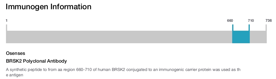 BRSK2 Polyclonal Antibody