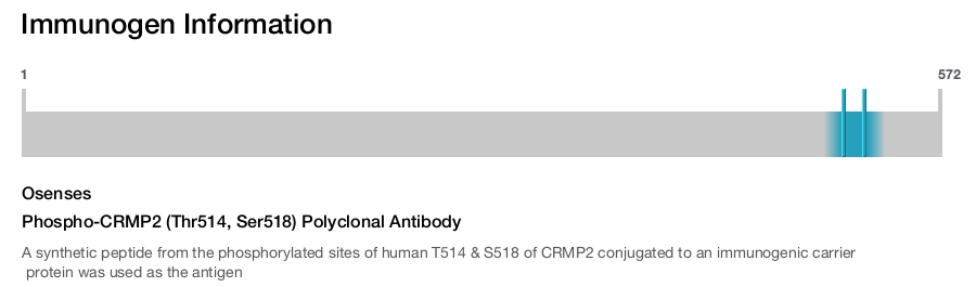 Phospho-CRMP2 (Thr514, Ser518) Polyclonal Antibody