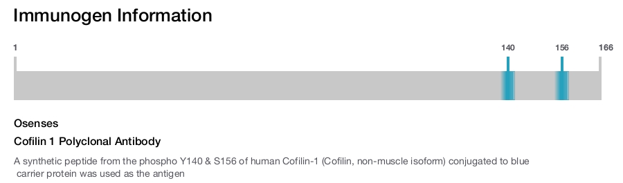 Cofilin 1 Polyclonal Antibody