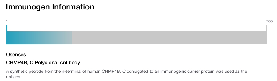 CHMP4B, C Polyclonal Antibody