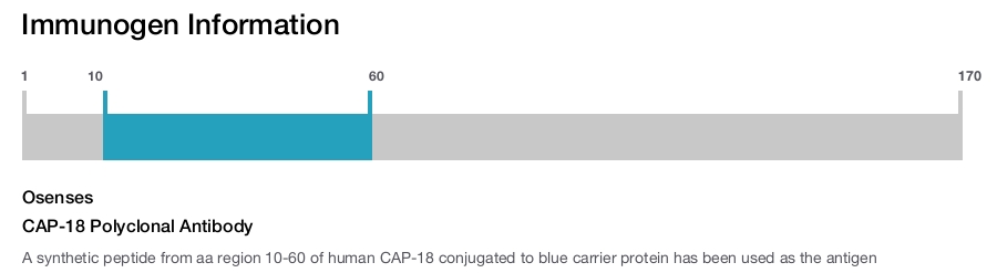 CAP-18 Polyclonal Antibody