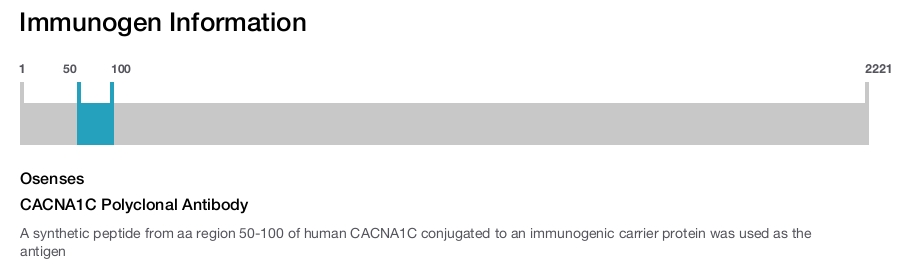 CACNA1C Polyclonal Antibody