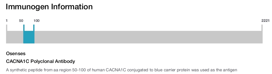 CACNA1C Polyclonal Antibody