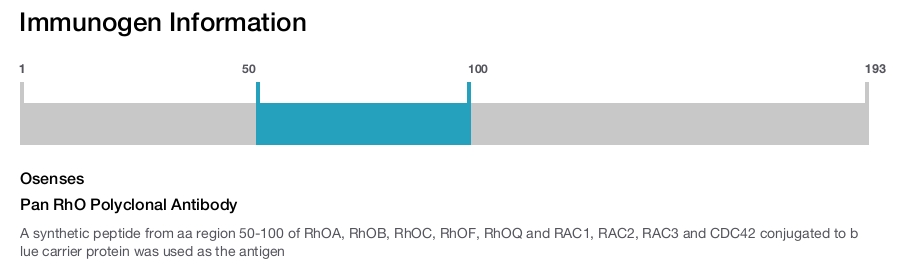 Pan RhO Polyclonal Antibody