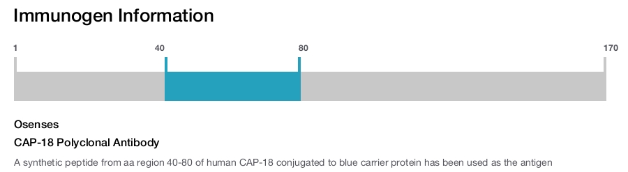 CAP-18 Polyclonal Antibody