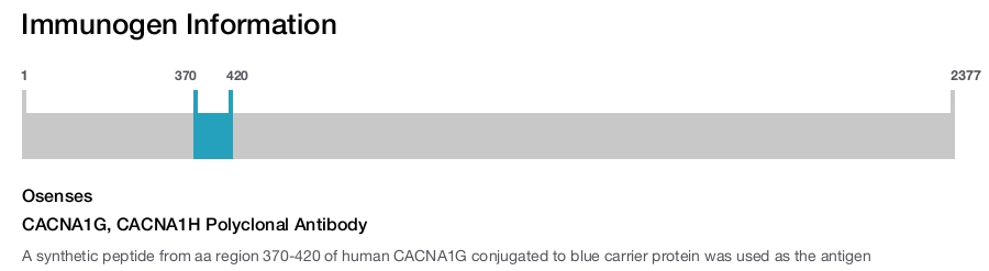 CACNA1G, CACNA1H Polyclonal Antibody