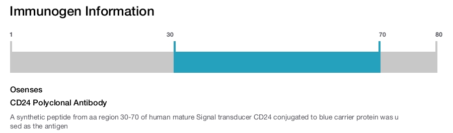CD24 Polyclonal Antibody