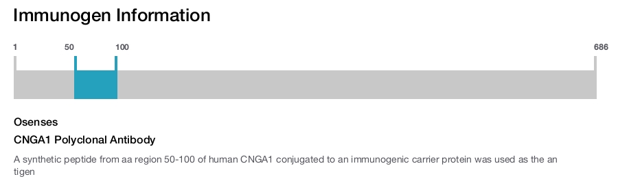 CNGA1 Polyclonal Antibody
