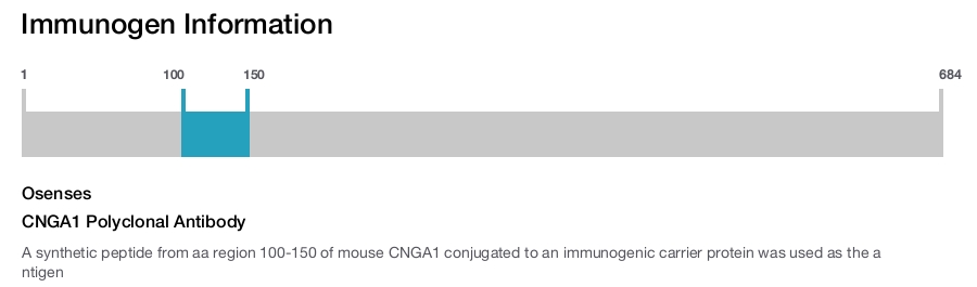 CNGA1 Polyclonal Antibody