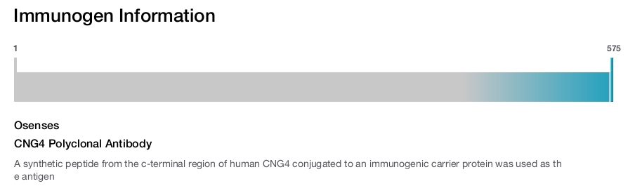 CNG4 Polyclonal Antibody