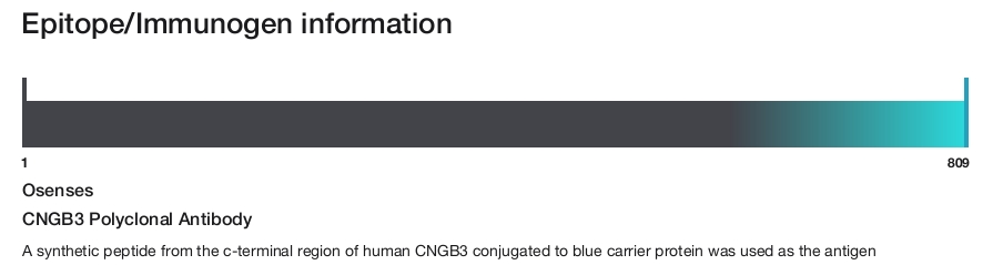 CNGB3 Polyclonal Antibody