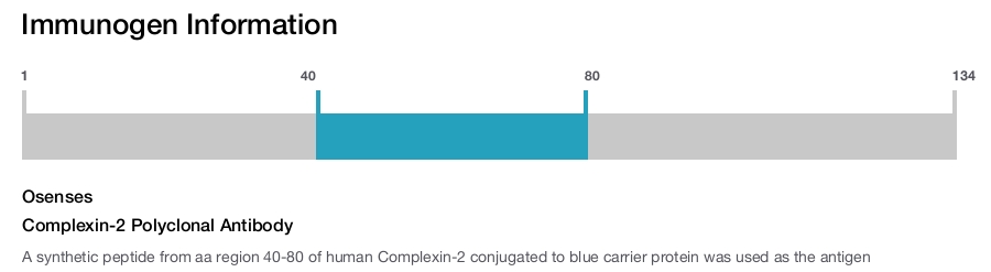Complexin-2 Polyclonal Antibody