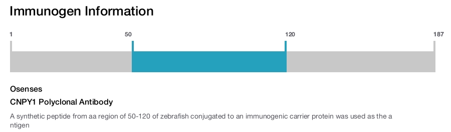 CNPY1 Polyclonal Antibody