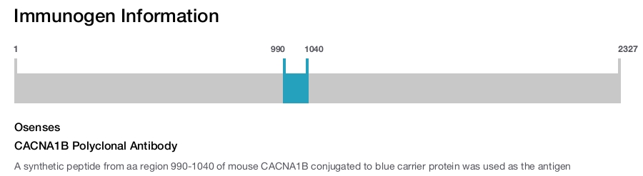 CACNA1B Polyclonal Antibody