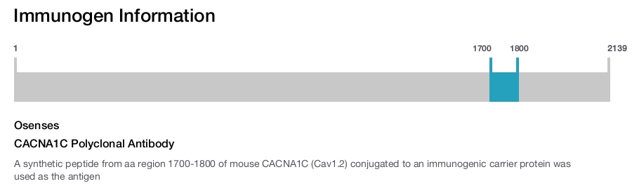 CACNA1C Polyclonal Antibody