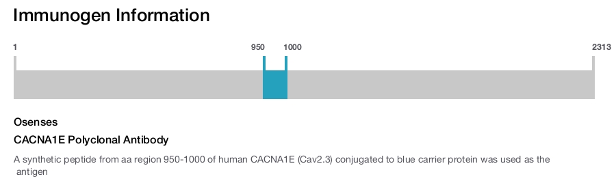 CACNA1E Polyclonal Antibody