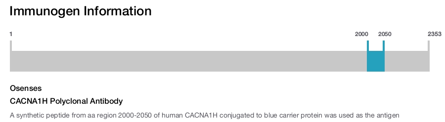 CACNA1H Polyclonal Antibody