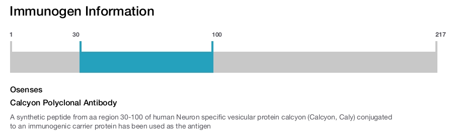 Calcyon Polyclonal Antibody
