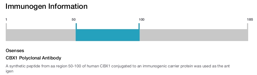 CBX1 Polyclonal Antibody