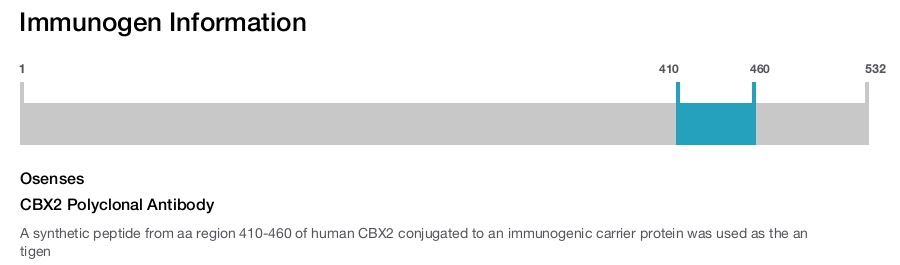 CBX2 Polyclonal Antibody