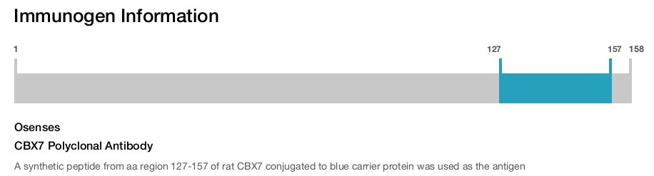 CBX7 Polyclonal Antibody