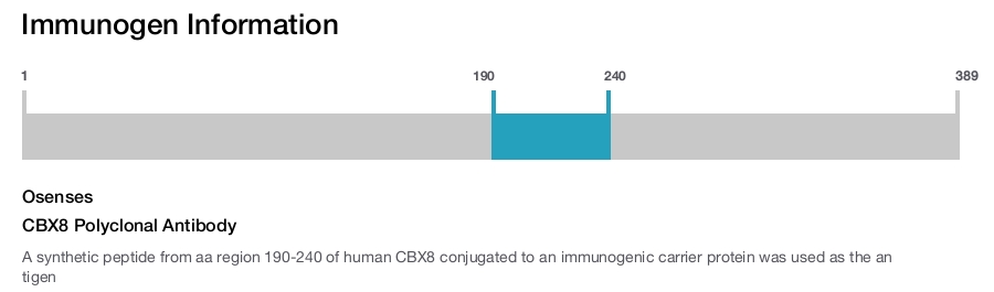 CBX8 Polyclonal Antibody