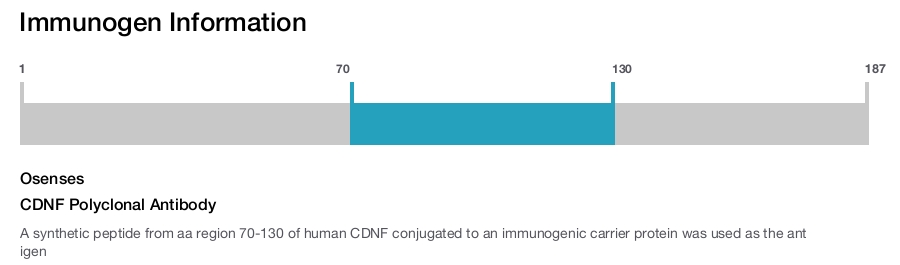 CDNF Polyclonal Antibody