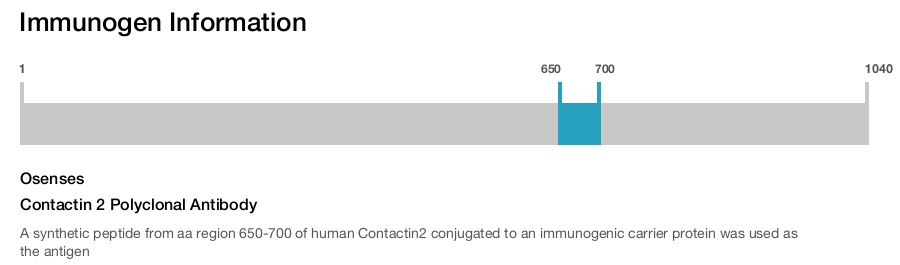Contactin 2 Polyclonal Antibody