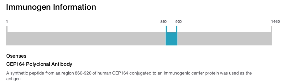 CEP164 Polyclonal Antibody