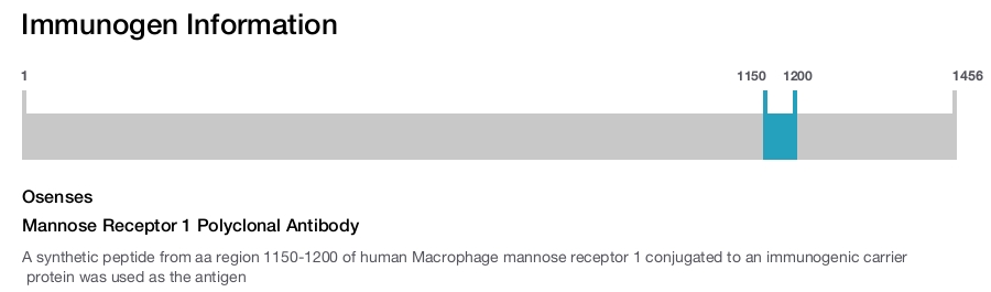 Mannose Receptor 1 Polyclonal Antibody
