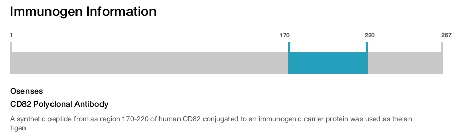 CD82 Polyclonal Antibody
