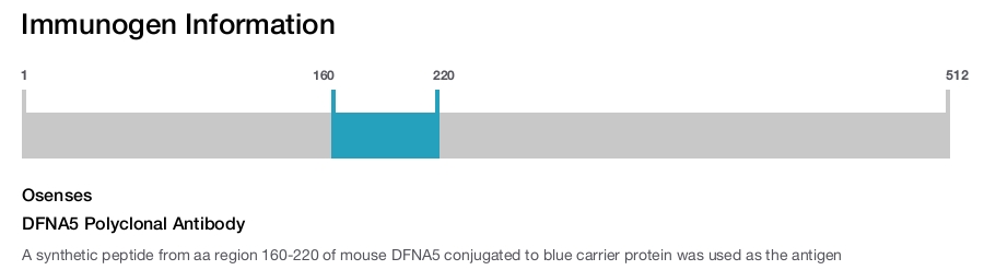 DFNA5 Polyclonal Antibody