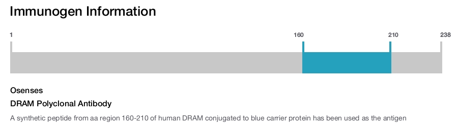 DRAM Polyclonal Antibody