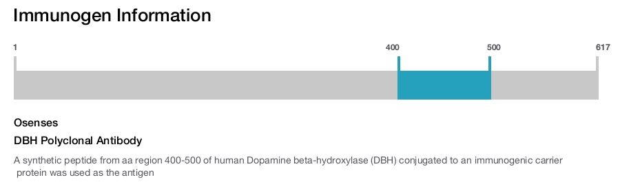 DBH Polyclonal Antibody