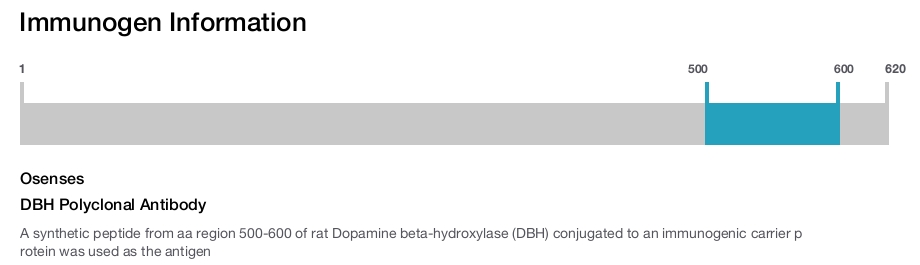 DBH Polyclonal Antibody