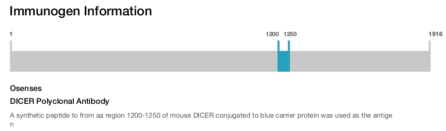 DICER Polyclonal Antibody