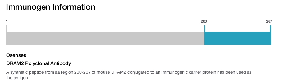 DRAM2 Polyclonal Antibody