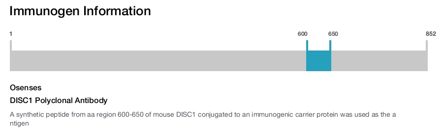 DISC1 Polyclonal Antibody