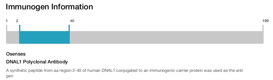 DNAL1 Polyclonal Antibody